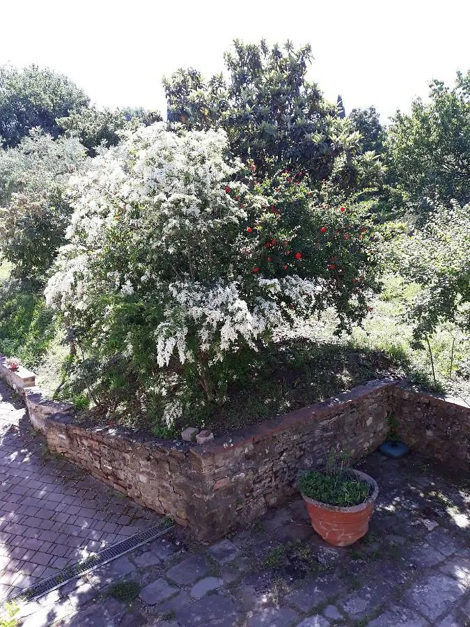 Il Burattino Country House Fiesole 0*,